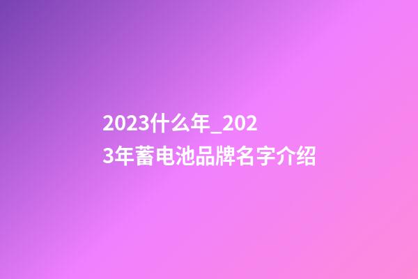 2023什么年_2023年蓄电池品牌名字介绍-第1张-商标起名-玄机派