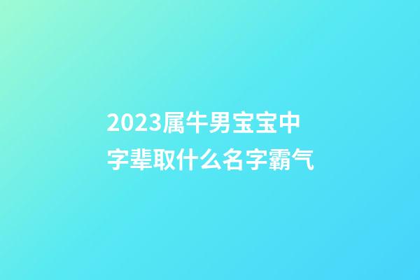 2023属牛男宝宝中字辈取什么名字霸气