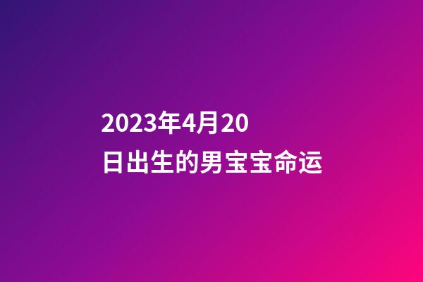 2023年4月20日出生的男宝宝命运