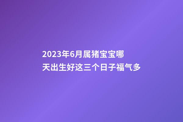 2023年6月属猪宝宝哪天出生好?这三个日子福气多