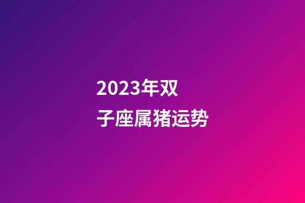 2023年双子座属猪运势-第1张-星座运势-玄机派