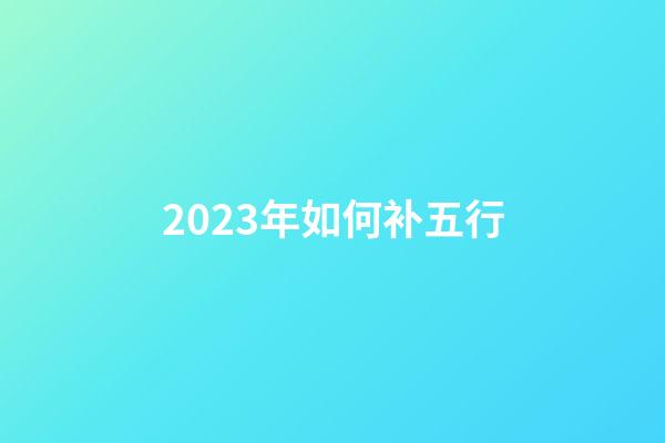 2023年如何补五行