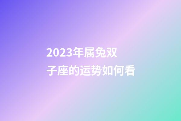 2023年属兔双子座的运势如何看-第1张-星座运势-玄机派