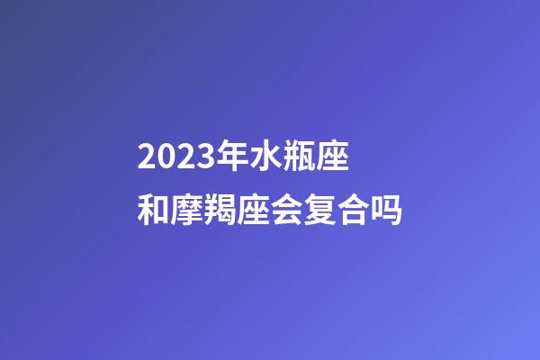 2023年水瓶座和摩羯座会复合吗-第1张-星座运势-玄机派