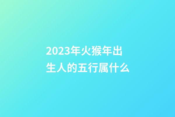 2023年火猴年出生人的五行属什么