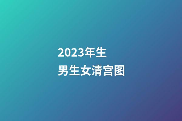 2023年生男生女清宫图