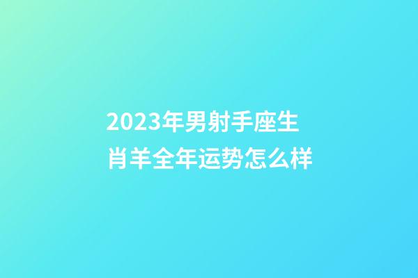 2023年男射手座生肖羊全年运势怎么样-第1张-星座运势-玄机派