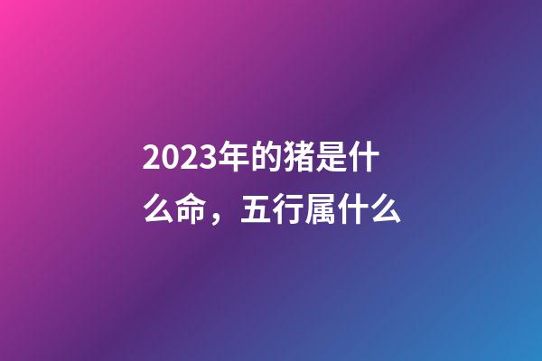 2023年的猪是什么命，五行属什么?