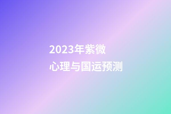 2023年紫微心理与国运预测