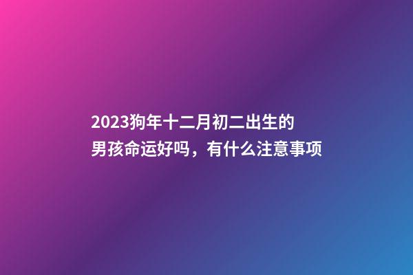 2023狗年十二月初二出生的男孩命运好吗，有什么注意事项