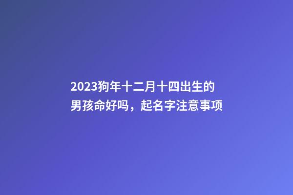 2023狗年十二月十四出生的男孩命好吗，起名字注意事项