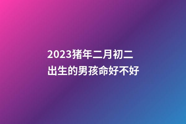 2023猪年二月初二出生的男孩命好不好