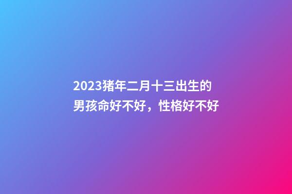 2023猪年二月十三出生的男孩命好不好，性格好不好