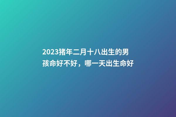 2023猪年二月十八出生的男孩命好不好，哪一天出生命好