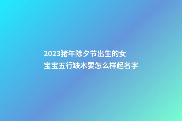 2023猪年除夕节出生的女宝宝五行缺木要怎么样起名字