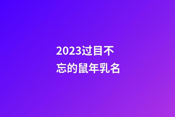 2023过目不忘的鼠年乳名