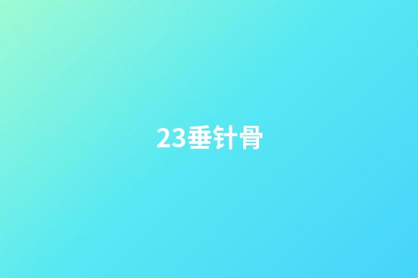 23.垂针骨