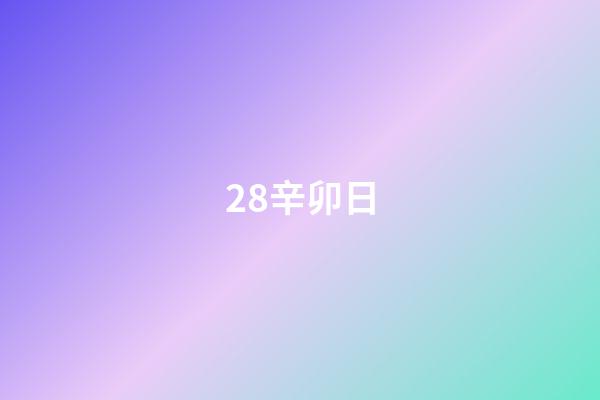 28.辛卯日