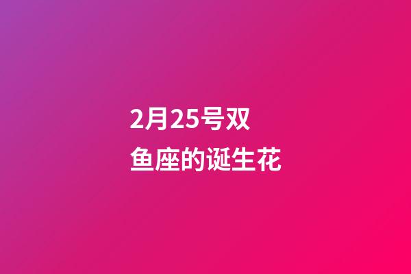 2月25号双鱼座的诞生花-第1张-星座运势-玄机派