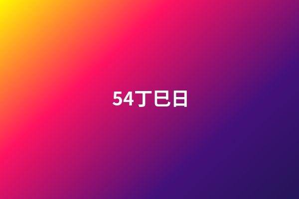 54.丁巳日