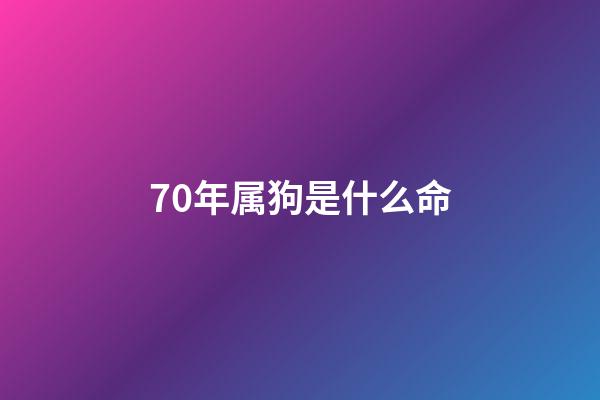 70年属狗是什么命(70年属狗女一生命运如何？)