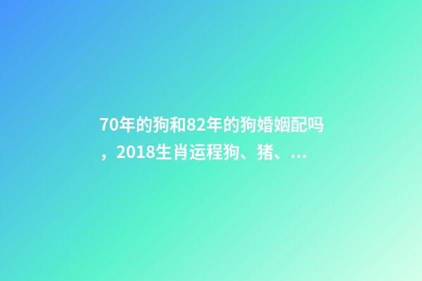 70年的狗和82年的狗婚姻配吗，2018生肖运程狗、猪、鼠、牛、虎、兔-第1张-观点-玄机派