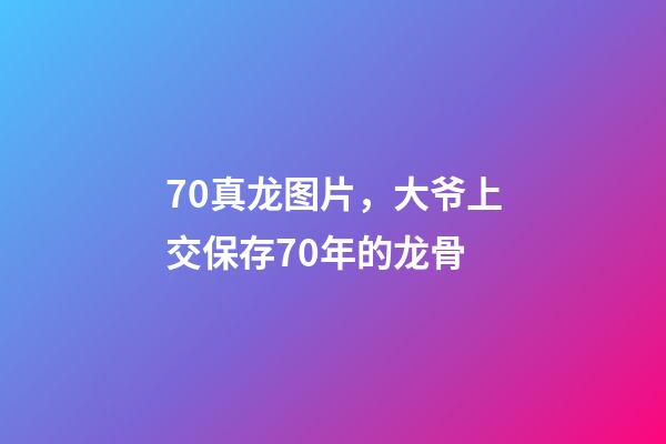 70真龙图片，大爷上交保存70年的龙骨-第1张-观点-玄机派