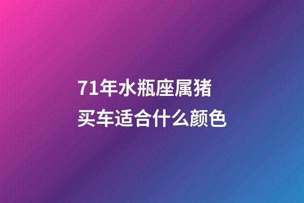 71年水瓶座属猪买车适合什么颜色