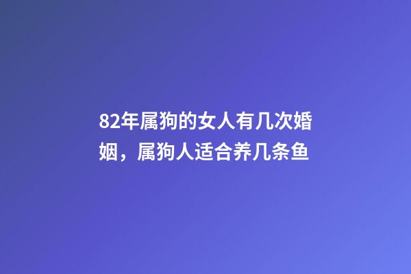 82年属狗的女人有几次婚姻，属狗人适合养几条鱼