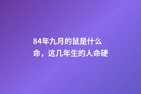 84年九月的鼠是什么命，这几年生的人命硬-第1张-观点-玄机派