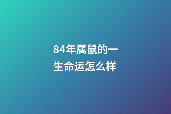 84年属鼠的一生命运怎么样(子鼠生于60年，72年，84年的，今年的财富事业表现怎样)-第1张-观点-玄机派