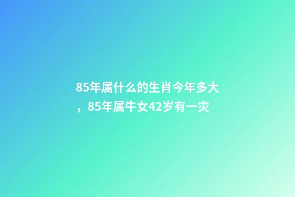 85年属什么的生肖今年多大，85年属牛女42岁有一灾-第1张-观点-玄机派