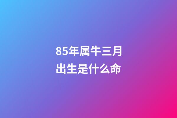 85年属牛三月出生是什么命(属牛人下半年财富看7月!)-第1张-观点-玄机派