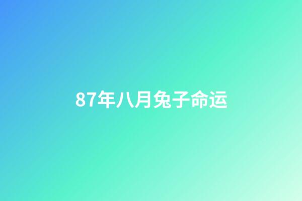 87年八月兔子命运(属兔的做什么生意赚钱 87年兔适合做什么工作)-第1张-观点-玄机派