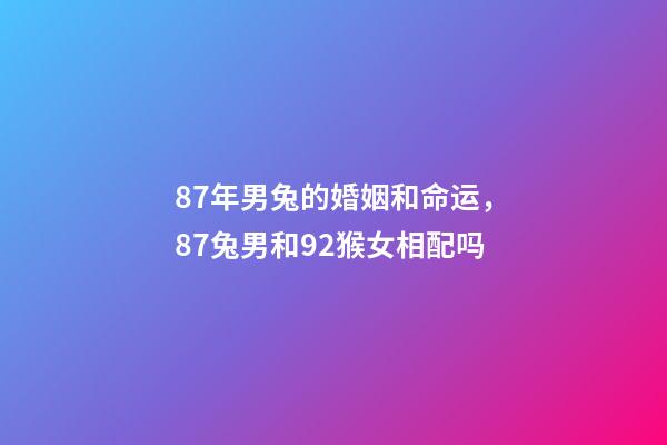 87年男兔的婚姻和命运，87兔男和92猴女相配吗-第1张-观点-玄机派