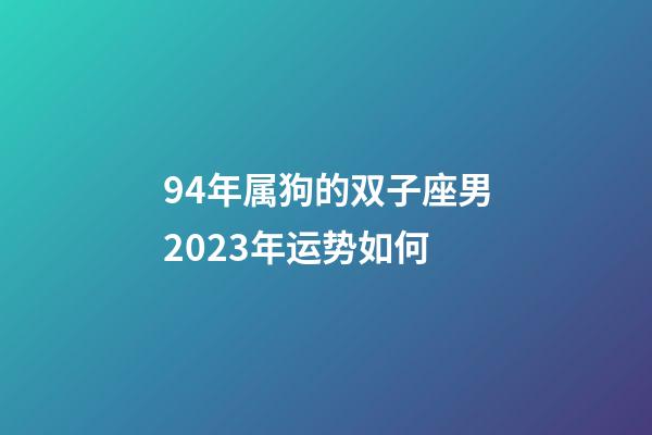 94年属狗的双子座男2023年运势如何-第1张-星座运势-玄机派