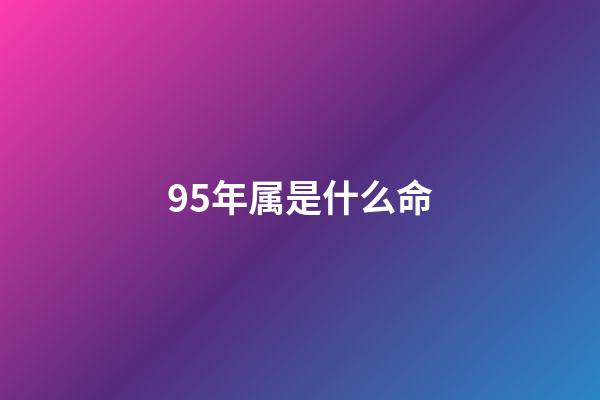 95年属是什么命(说他们是神仙爱情，没搞错吧？)-第1张-观点-玄机派