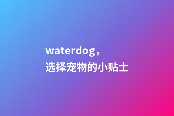 waterdog，选择宠物的小贴士-第1张-观点-玄机派