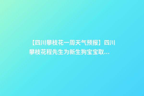 【四川攀枝花一周天气预报】四川攀枝花程先生为新生狗宝宝取名时尚型套餐-第1张-公司起名-玄机派