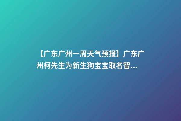 【广东广州一周天气预报】广东广州柯先生为新生狗宝宝取名智慧型套餐-第1张-公司起名-玄机派