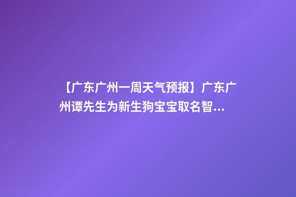 【广东广州一周天气预报】广东广州谭先生为新生狗宝宝取名智慧型套餐-第1张-公司起名-玄机派