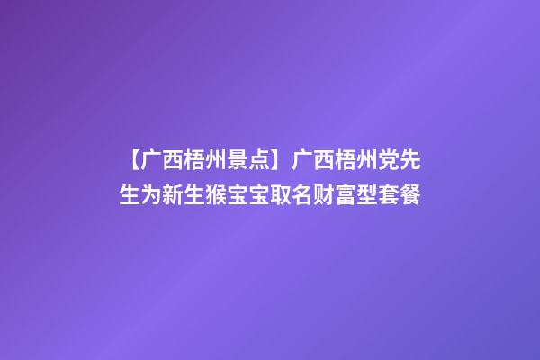 【广西梧州景点】广西梧州党先生为新生猴宝宝取名财富型套餐-第1张-公司起名-玄机派