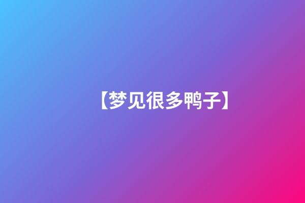 【梦见很多鸭子】