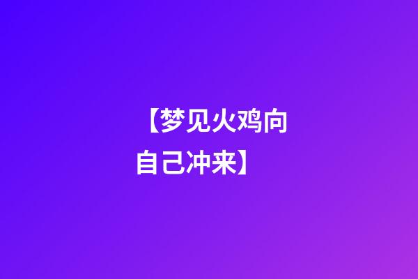 【梦见火鸡向自己冲来】