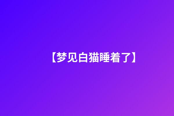 【梦见白猫睡着了】