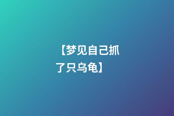 【梦见自己抓了只乌龟】