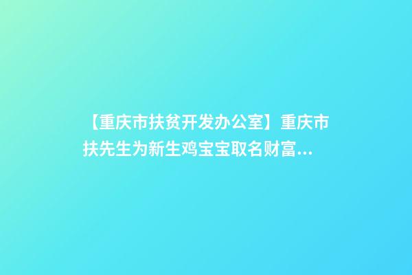 【重庆市扶贫开发办公室】重庆市扶先生为新生鸡宝宝取名财富型套餐-第1张-公司起名-玄机派