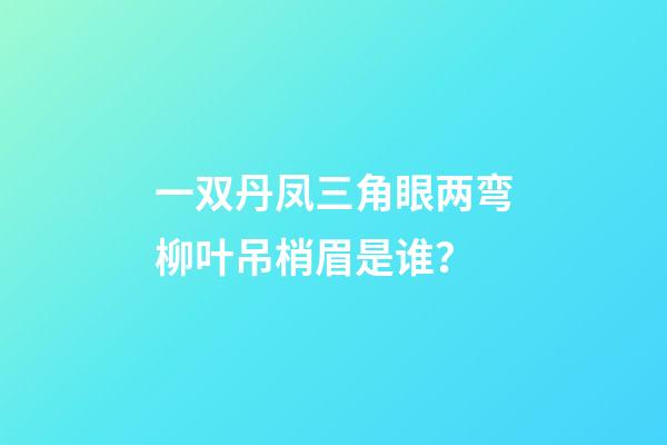 一双丹凤三角眼两弯柳叶吊梢眉是谁？