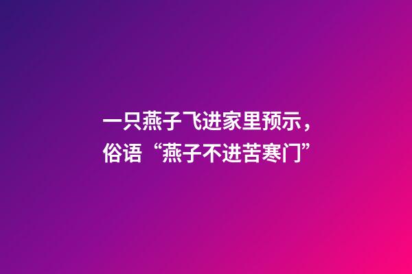 一只燕子飞进家里预示，俗语“燕子不进苦寒门”-第1张-观点-玄机派