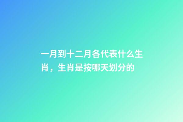 一月到十二月各代表什么生肖，生肖是按哪天划分的-第1张-观点-玄机派